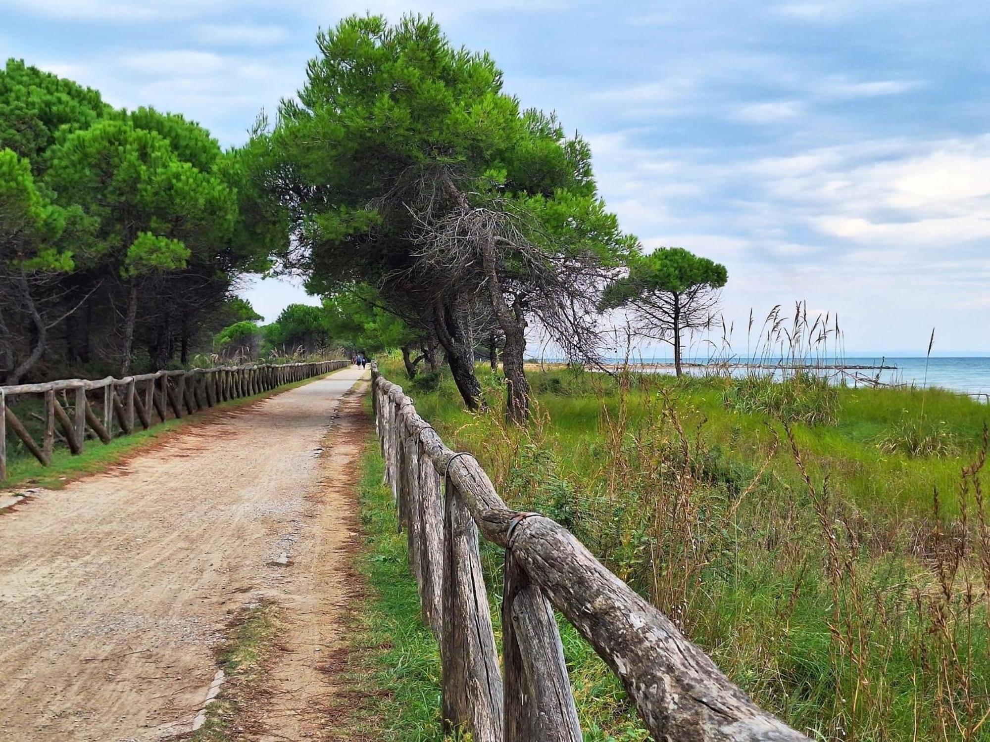 Appartamento Charming Near The - Beahost *